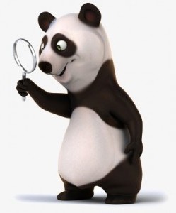 Un panda et sa loupe